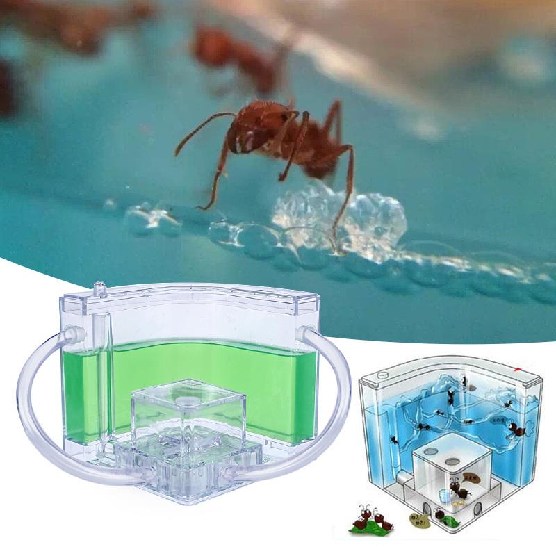 Maison de fourmis 10.8CM, ferme de fourmis, nid de fourmis, zone d'alimentation, Art spécial, Villa transparente colorée, décoration amusante, pour enfants