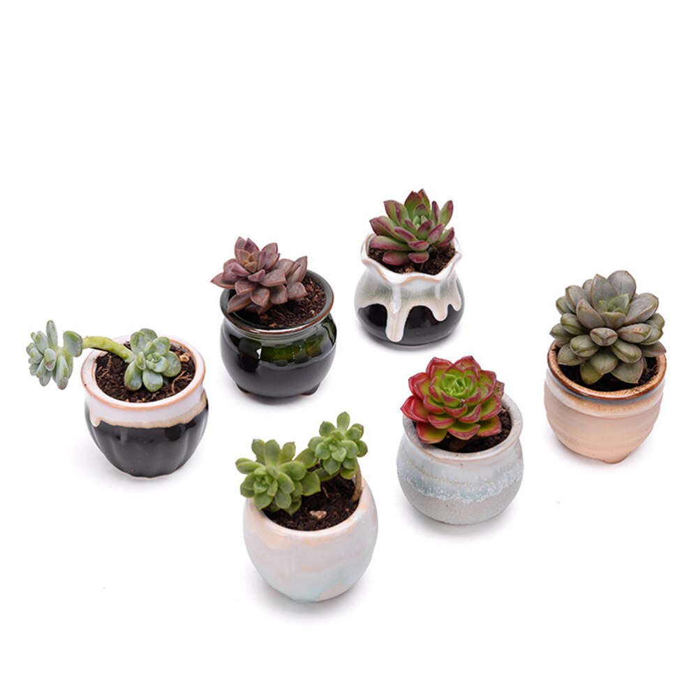Maceta de cerámica para plantas suculentas, flujo Variable, para el hogar, oficina, plantas sin planta, 6 uds.