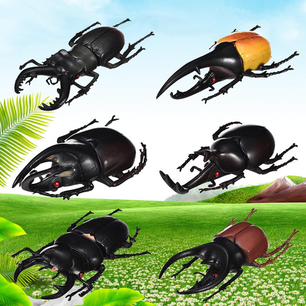 6Pcs Simulatie Beetle Insect Speelgoed Model Voor Kinderen Volwassen Speelgoed Halloween Prank Trick Props Levensechte Niet-giftig Pvc insect