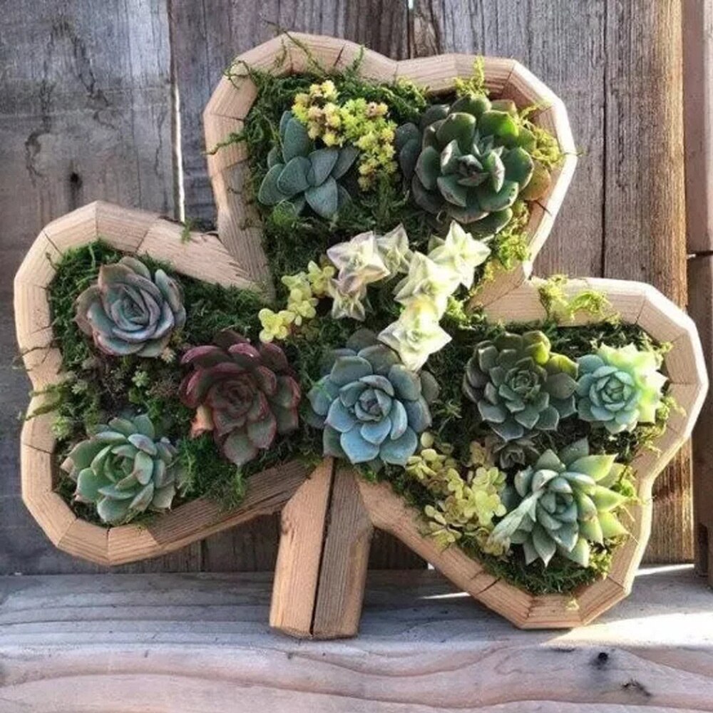 Pot de fleurs en bois pour animaux, plantation de plantes de jardin, Micro Pot de paysage, décoration ,