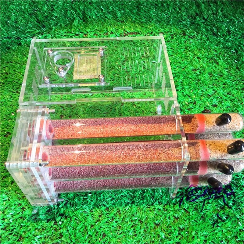 Acrylic Ant Farm With Feeding Area Ant Nest Ants House Factory Insect 6 Test Tubes Pet Anthill