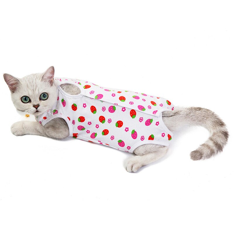 Pantalon physiologique lavable pour chat, sous-vêtement pour chien, chiot, chat, S-XL: WHITE / L