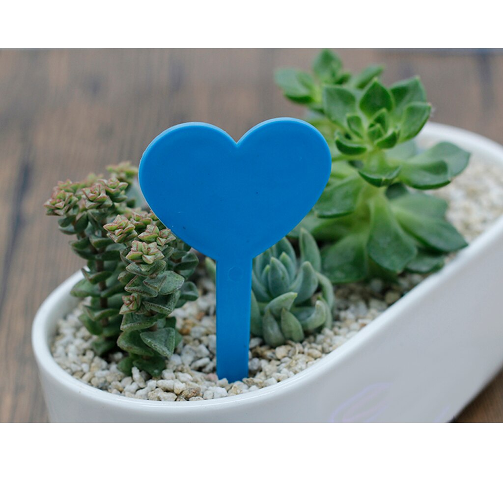 Etiquetas reutilizables para semillas de plantas y corazones, marcadores para macetas, etiqueta para Estaca de jardín, 50 unidades: Blue