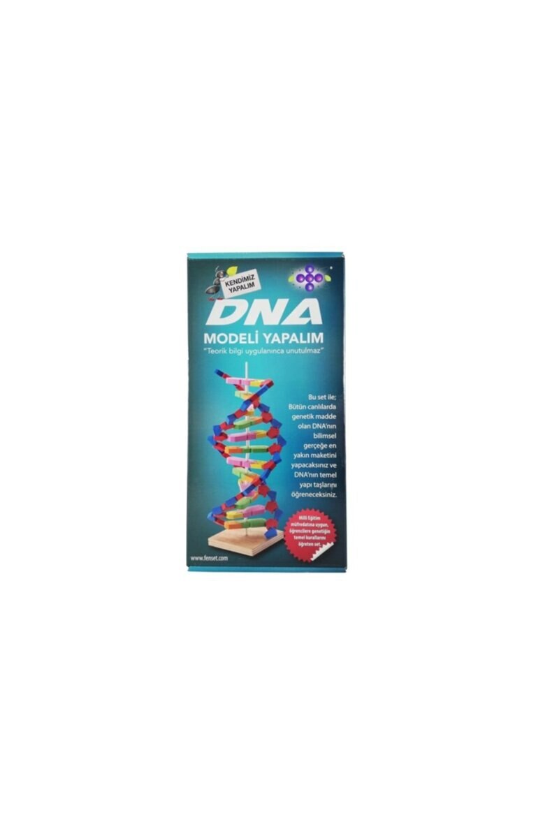 Dna Model Laat Experiment Kit