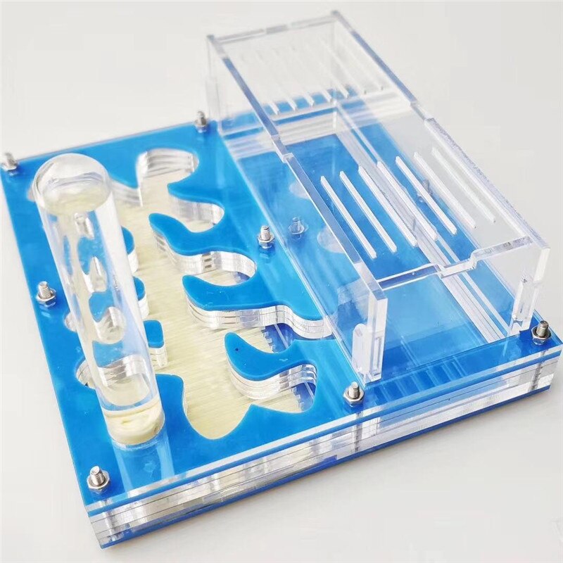 DIY Ant Nest With Feeding Area Ant Villa Farm Acryl Insect Ant Nests Villa Pet Mania For House Ants Insect Villa House: Default Title