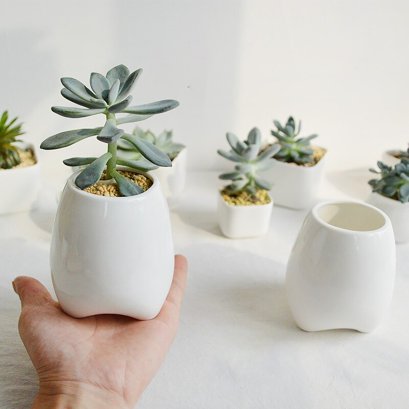 Set Van 2 Tand Vorm Bloempotten Witte Keramische Planter Tanden Mini Desktop Succulente Planter Potten (Zonder Planten)