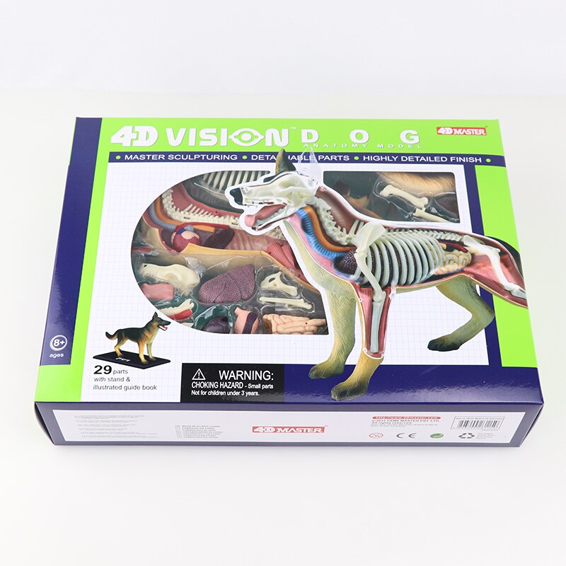 Simulatie dier pop 4d meester puzzel assemblage speelgoed wezen gevogelte kat hond paard varken haai walvis orgaan anatomie: Hond