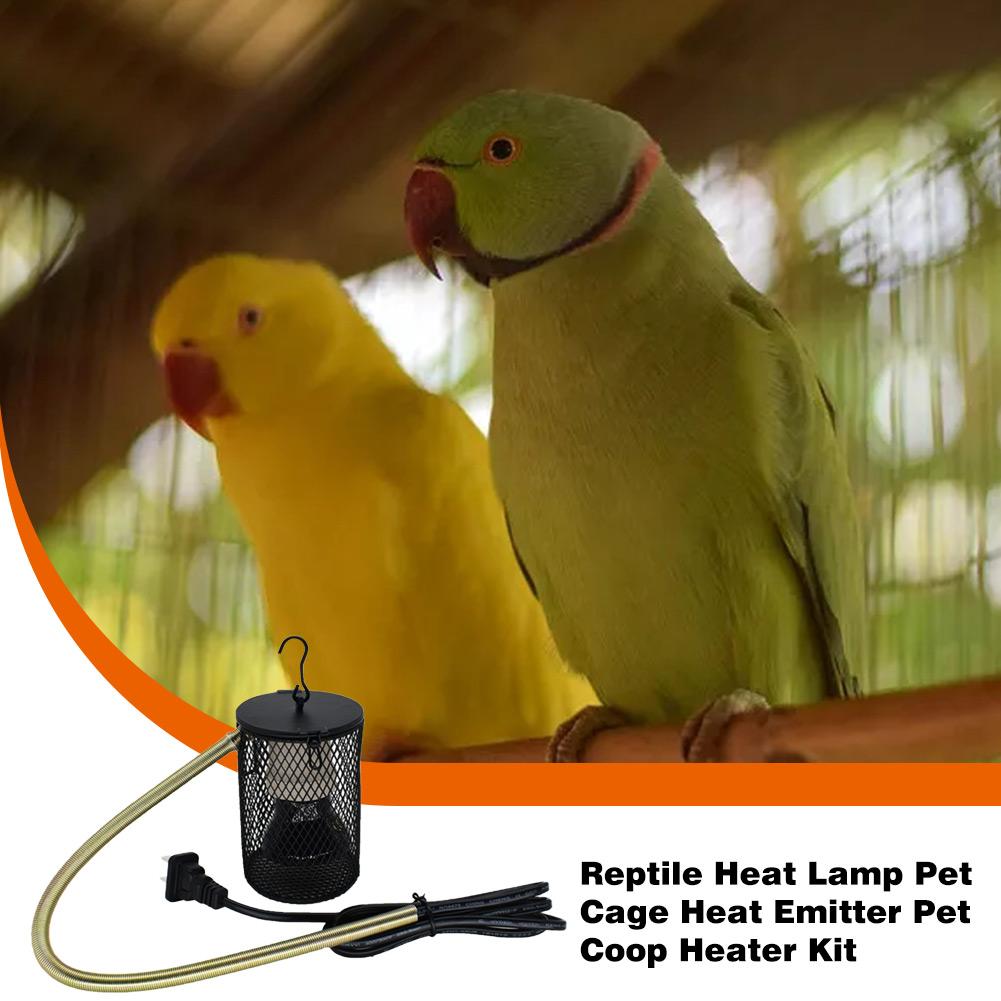 Lámpara de calor para reptiles y mascotas, Kit de calefacción para jaulas de mascotas, emisor de calor, Bombilla de calor, para pollos y reptiles, 50/100W