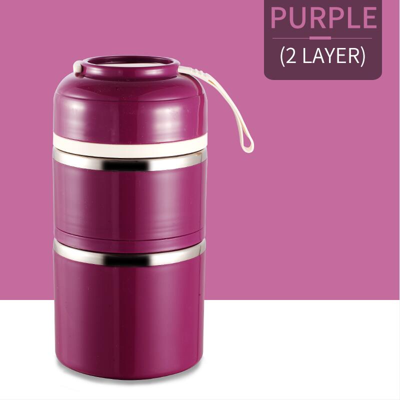 Leuke Japanse Thermische Lunchbox Lekvrije Rvs Bento Box Kids Draagbare Picknick School Voedsel Container Keuken Benodigdheden: Purple 2 Layers