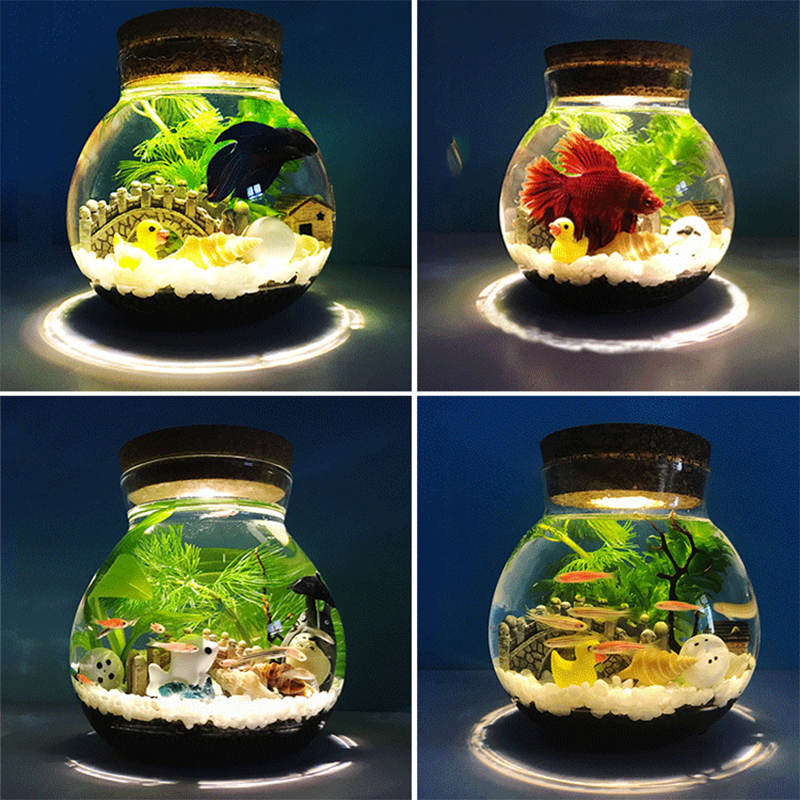 Botella ecológica de vidrio transparente con tapa para pecera, accesorios de acuario para paisajismo, Mini botella con pez