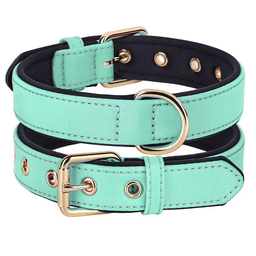 Collier en nylon imperméable pour chien, 8 couleurs, doux, rembourré, respirant, colliers pour animaux de compagnie, petits et moyens chiens, Chihahua, PDPDog, accessoires: L / green