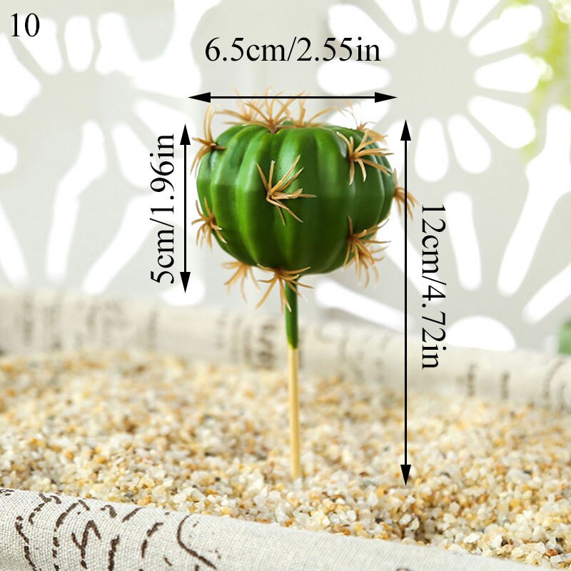 Graines de graines pour Aquarium, plante aquatique, graines faciles, Aquarium, aménagement paysager: 10