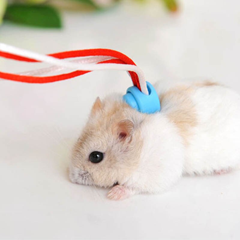 Arnés para Hamster cuerdas arnés Collar de guiar ajustable Animal PEQUEÑO herramientas para jaula correa de hámster 2M productos para mascotas ratón Suministros 1 Uds