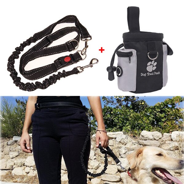 Pet Training Supplies Elastic Dog Leash Adjustable Waist Belt Outdoor Obedience Agility Training Treat Bag: Pouch and leash