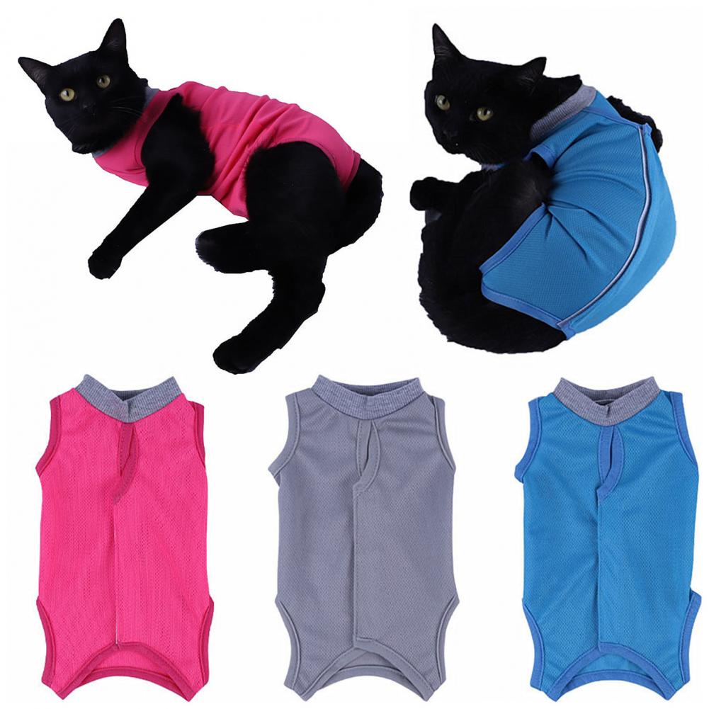 Combinaison neutre pour chat, combinaison de récupération confortable, réglable, Anti-léchage, vêtements de stérilisation, fournitures pour animaux de compagnie, gilet à sangle corporelle