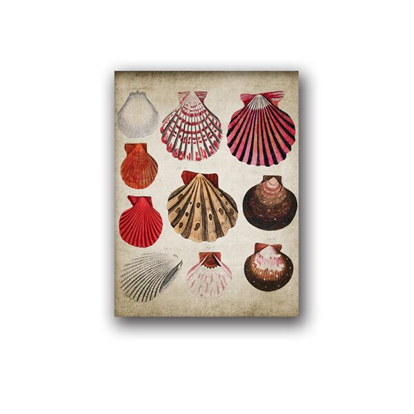 Cuadro de pared biológico de concha de estrella de mar, Retro océano, pintura Vintage, póster de papel Kraft: Azul / 42x30cm No Frame