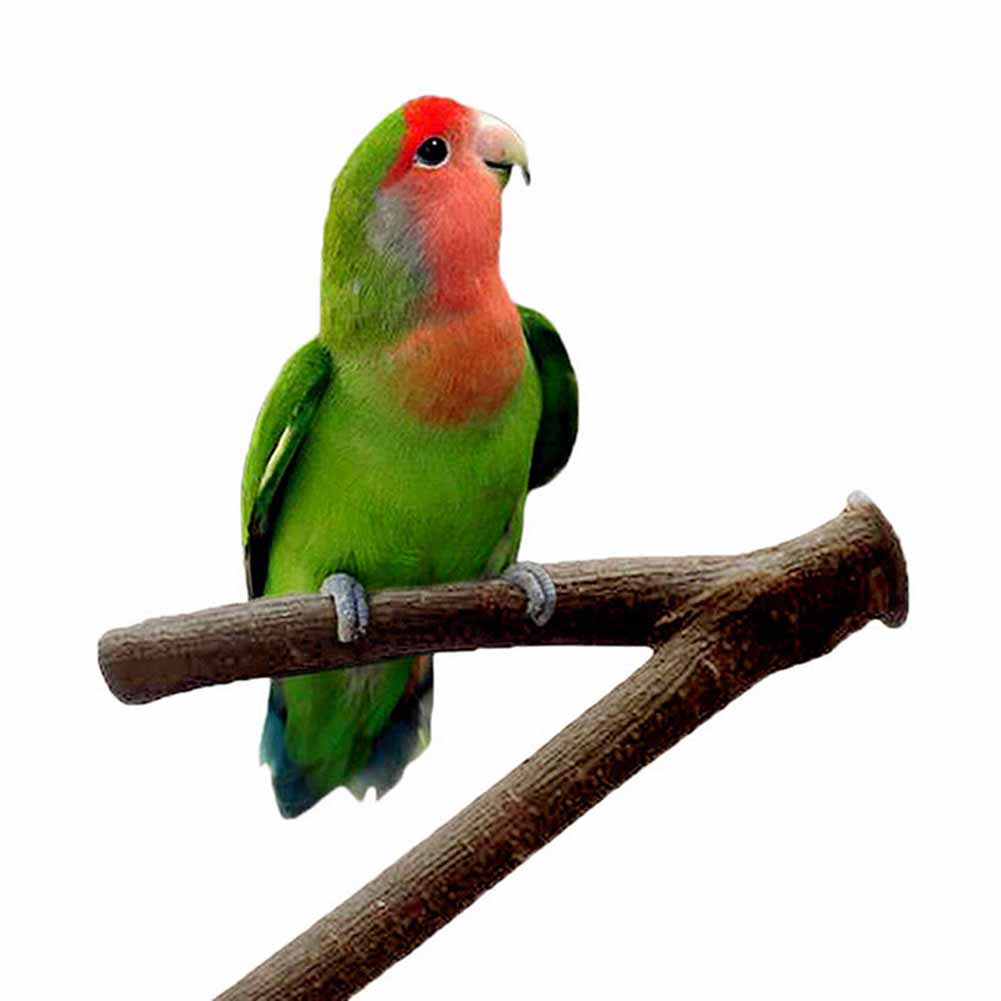 Loro jaula para pájaros, tenedor de pie, Rama, perchas, suministros para mascotas, estante de madera, juguetes para masticar