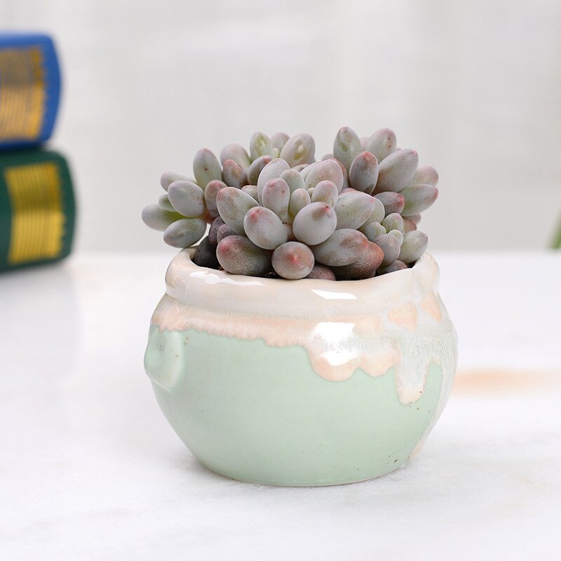 Huisdecoratie miniatuur model bloempotten glazuur asymmetrie bloemenvaas bureaudecoratie ornamenten beeldjes keramische pot