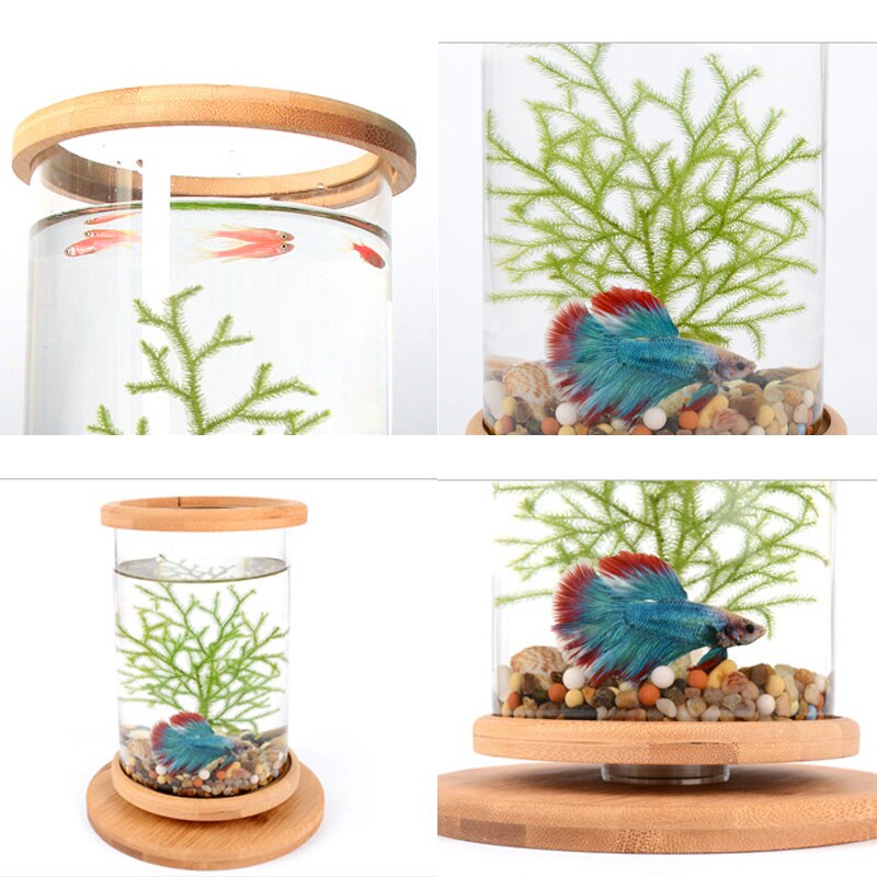 Viskom van massief hout, kan 360 graden draaien, klein aquarium, goudvis, betta, aquariumdecoratie