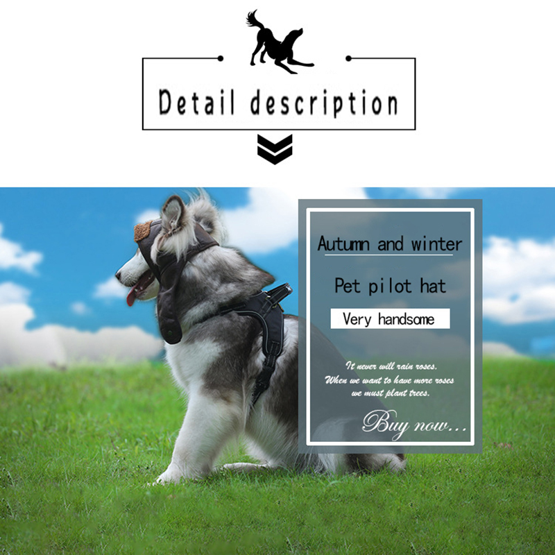 Dog Aviator Hat Dog Winter Pilot Hat with Ear Flaps for Cold Weather Pet Warm Aviator Cap Pet Windproof Motorcycles Protect Hat