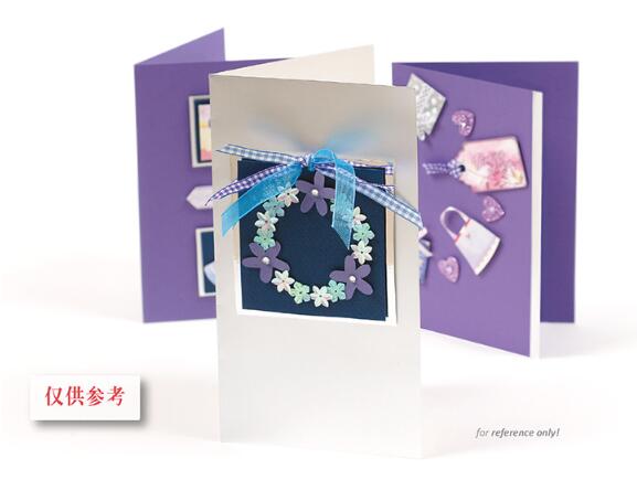 Eno Greeting complete scrapbooking diy card kit for beginner kids craft diy card making kit 6 cards and 6 envelopes: SKC07