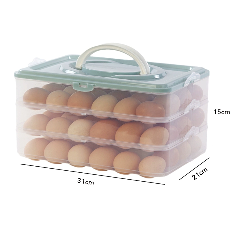 Kitchen egg storage box 2 layer 40 grid egg carton Food container storage box CY50601: plum