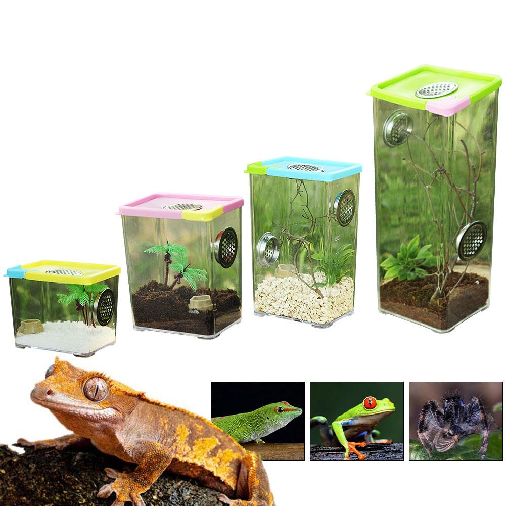 Reptile Kweekbak Clear Acryl Reptiel Terrarium Voerbox Bidden Hagedis Reptiel Thuis Insect Kooi Voor Spin Schorpioen