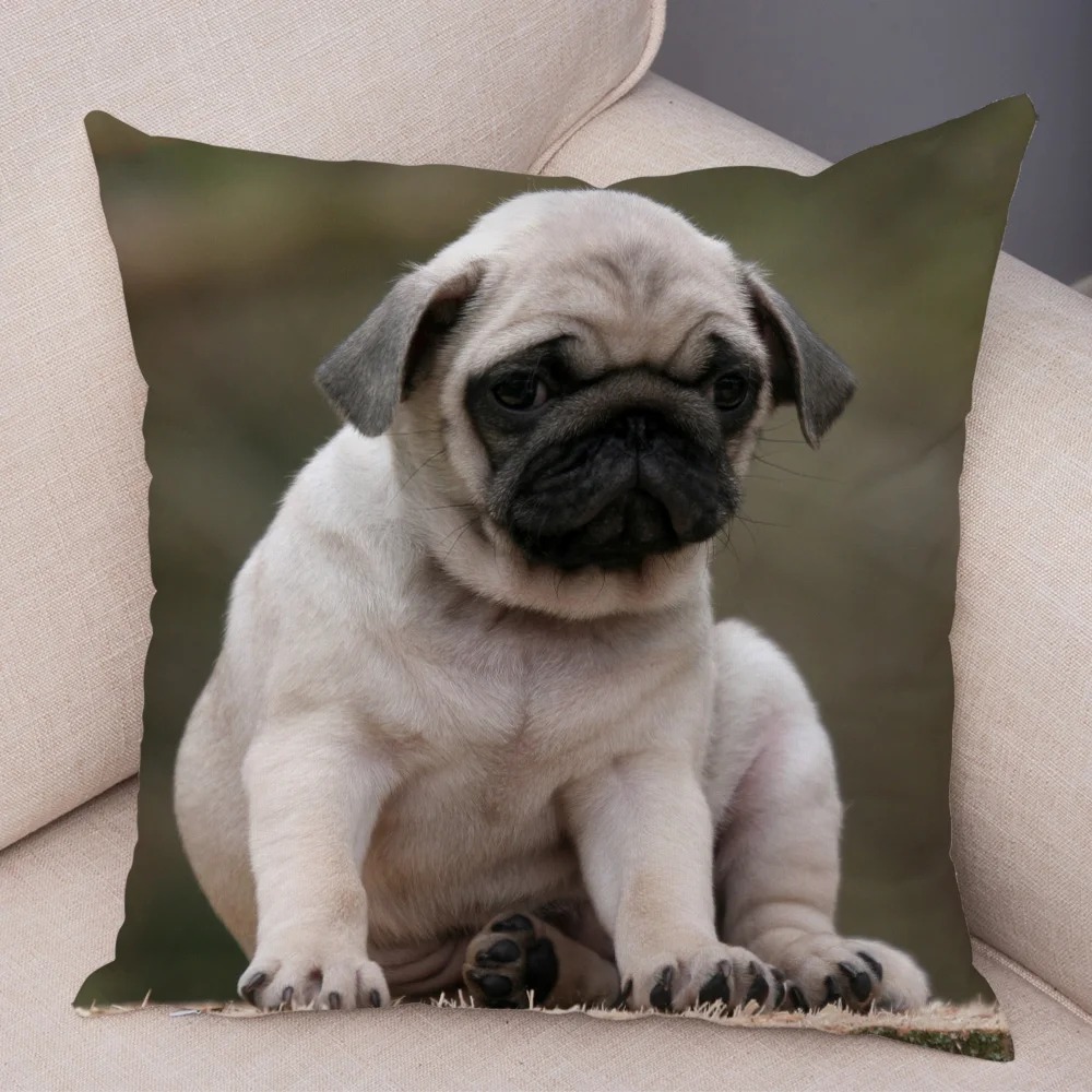 Cute Pug Dog Cushion Cover Both Sided Print Decor Pet Animal Pillowcase for Car Sofa Home Car Soft Plush Throw Pillow Case