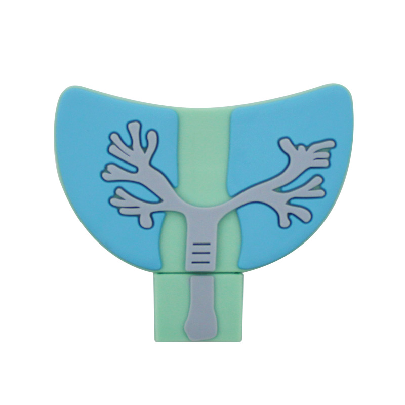 Cartoon ludzkie narządy pamięć USB płuca serce żołądek mózg lekarz Pendrive karta pamięci 64GB 32GB Memoria U Pendrive: Niebieski / 32GB