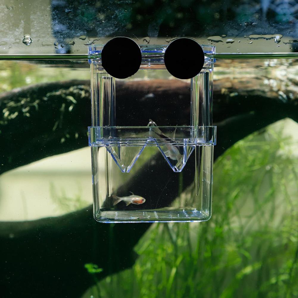 Double Layer Self Floating Incubator with Suction Cup Aquarium Hatching Fish Breeding Box