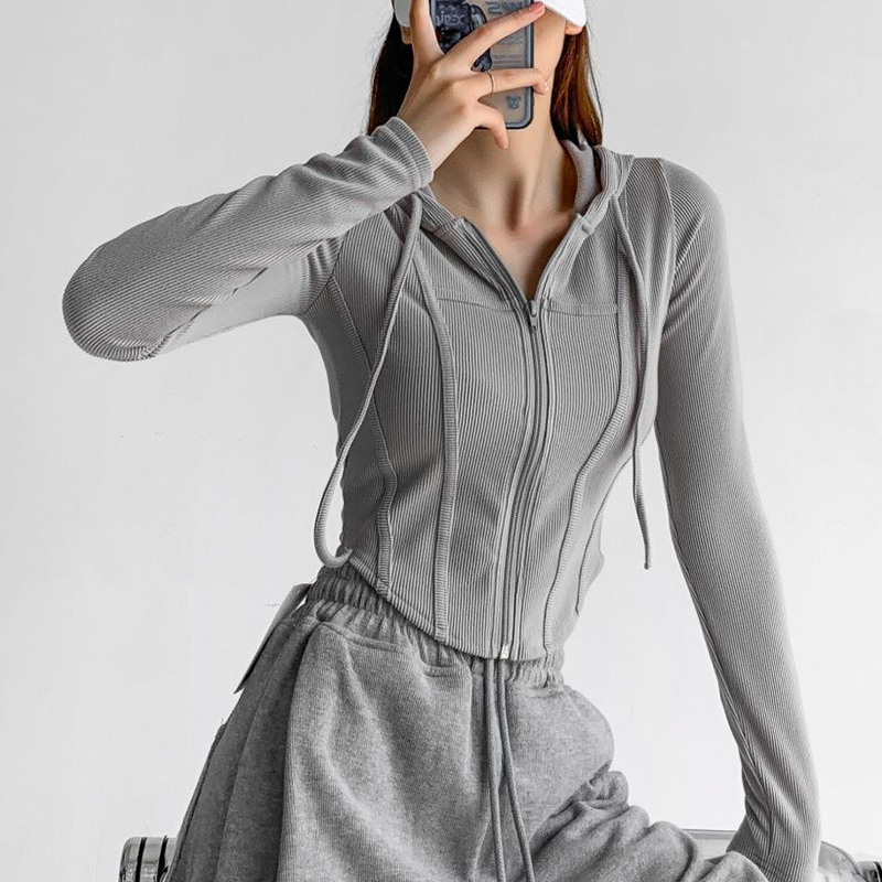 Lente Herfst Casual Mode Effen Eenvoudige Korte Hoodies Dames Lange Mouwen Slim All-Match Rits Sweatshirt Vrouwen Vest Top: M / GRIJS