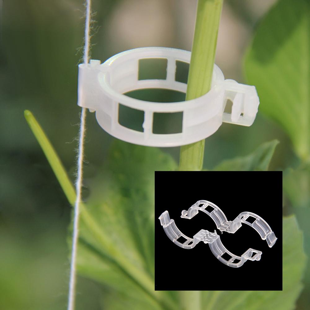 100x Tomato Veggie Garden Plants Support Clips For Trellis Twine Greenhouse