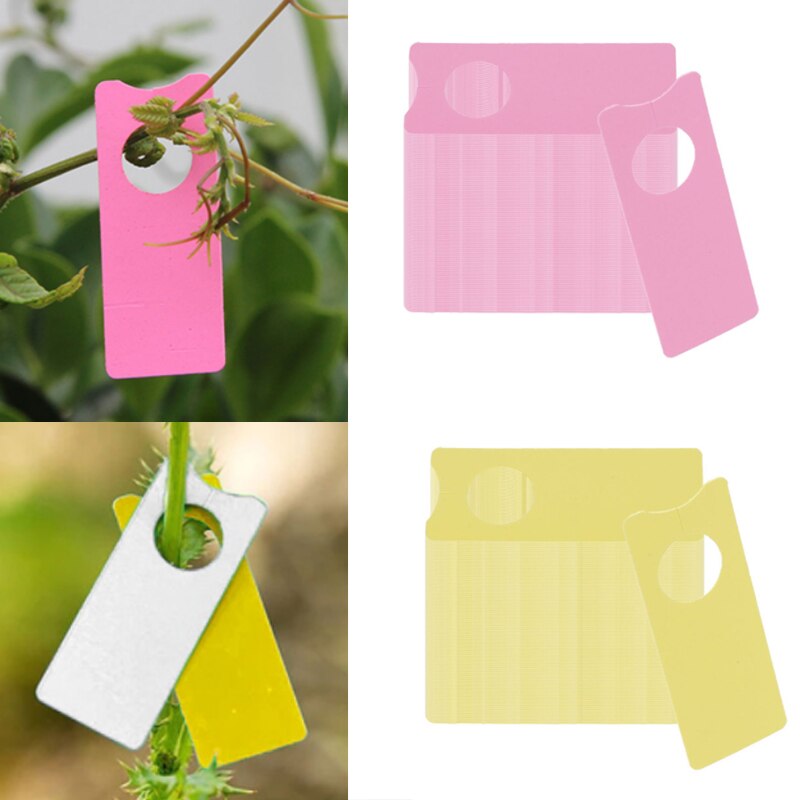 50/100 sztuk 2*5cm znaczniki roślin ogród przedszkola etykiety robić zawieszenia na drzewko markery roślin drzewa owocowe znaki szybka karty klasyfikacji narzędzie