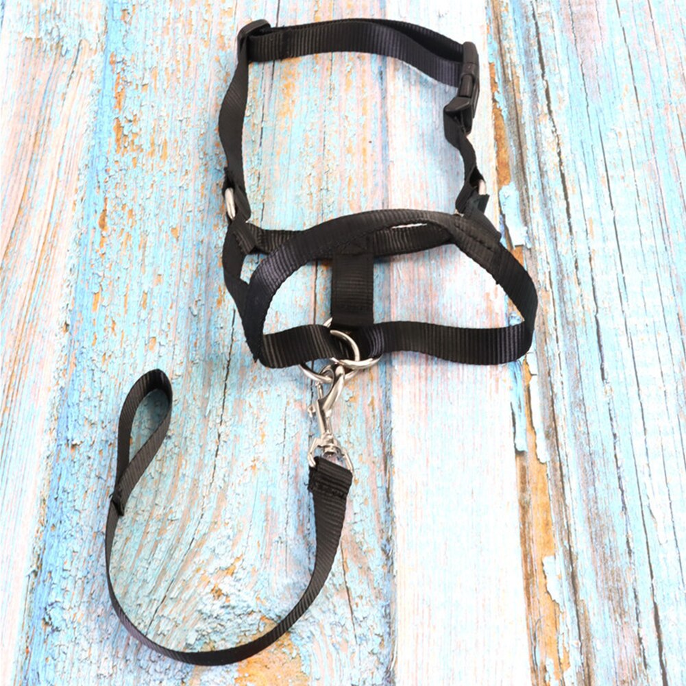 Dierbenodigdheden Outdoor Wandelen Stop Chew Leash Nylon Puppy Anti Bijten Grooming Verstelbare Lus Duurzaam Mond Cover Hond Snuit