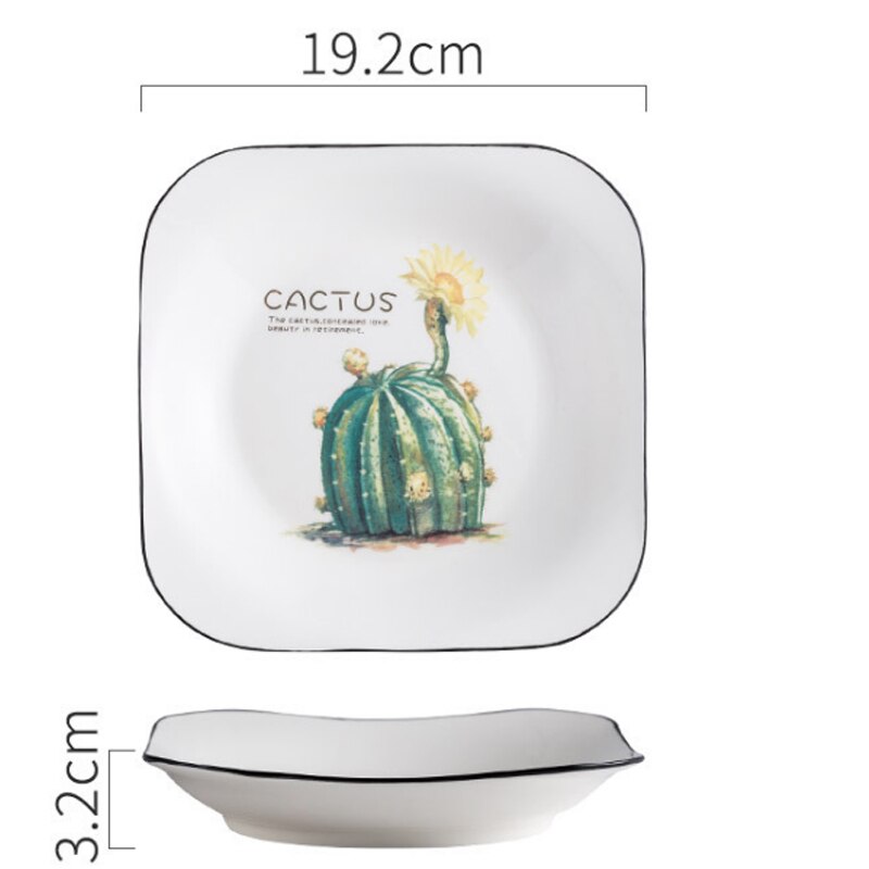 Vierkant porseleinen bord, cactus, dessertbord, broodbord, fruitsaladebord, scandinavisch ontbijtbord, botervloot, keukenservies: Dl