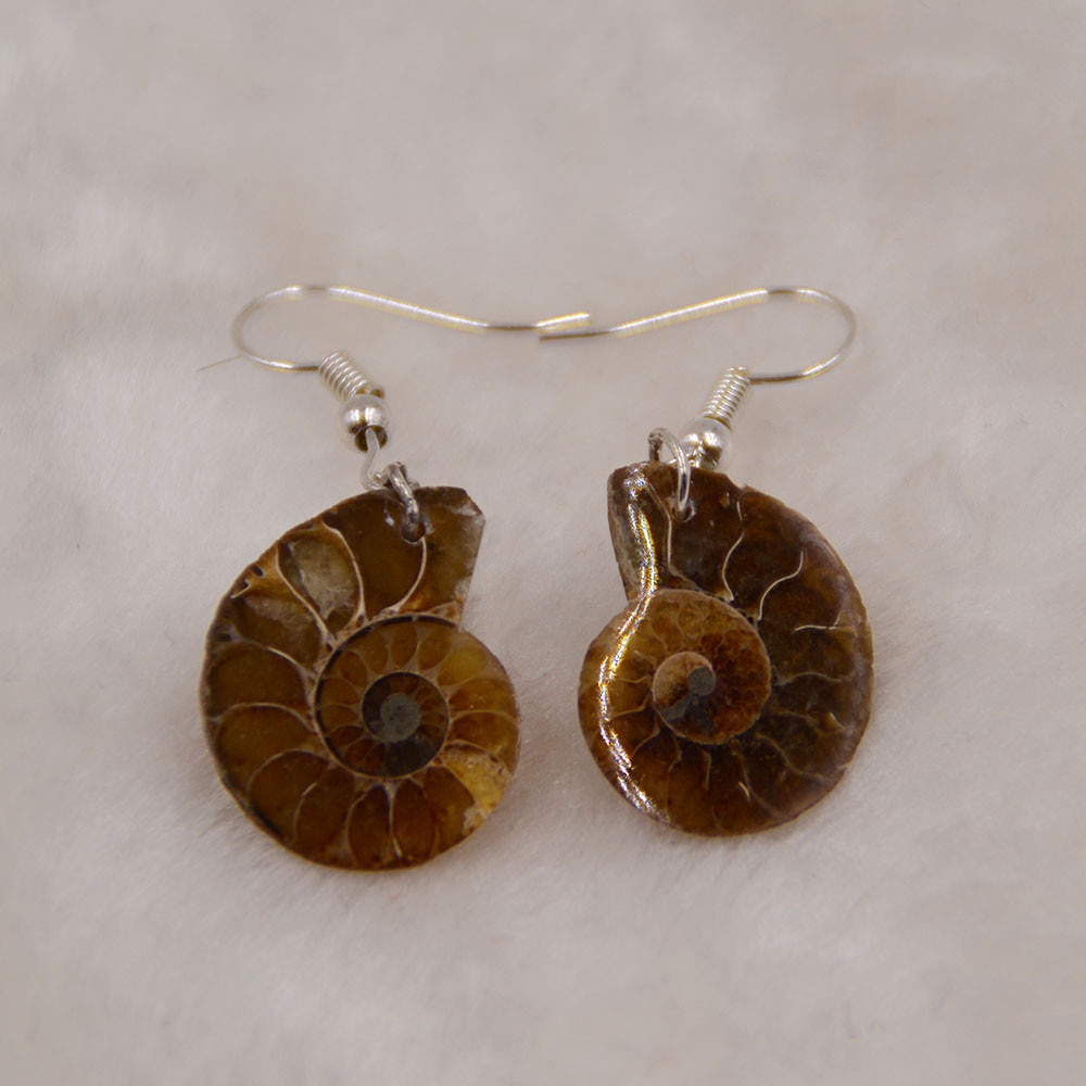 Natuurlijke Slak Ammoniet Spiraal Whorl Schelp Fossielen Kleur Dier Hanger Dangle Earrin Haak