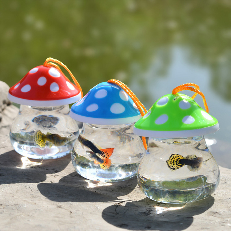 Aquarium Portable 1 pièce, boîte d&#39;élevage de poissons, Mini tortue de poisson rouge, réservoir de petits reptiles, fournitures d&#39;accessoires pour animaux de compagnie