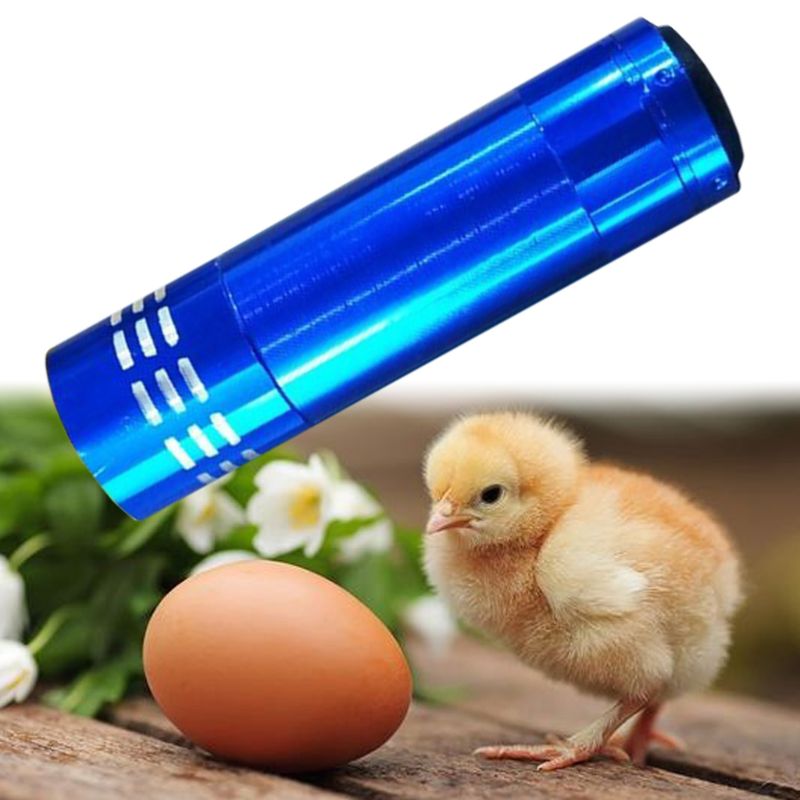 Mini Cold Light Egg Incubator Intelligent Precise Temperature Control Automatic Hatcher Long Standby Safe Portable Tools