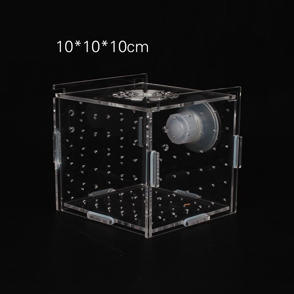 Single Grid Breeding Box Incubator Isolation Hairtail Nursery House Aquarium Accessaries