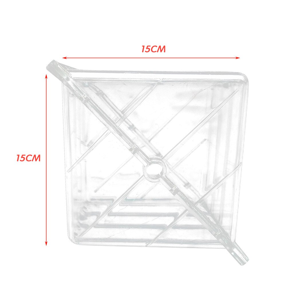 Magic Square-shaped Watermelon Shaping Growth Molds Nursery Pots Fruit Square Molding Fixed Mould 15*15cm Garden Vegetables