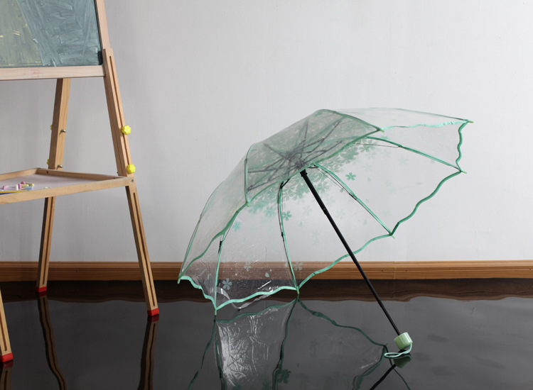 Anpassung von Prinzessin Regenschirm Werbung Regenschirm mit rean Klapp Apollo Transparent Arch und Drei Falten Regenschirm: Rosa