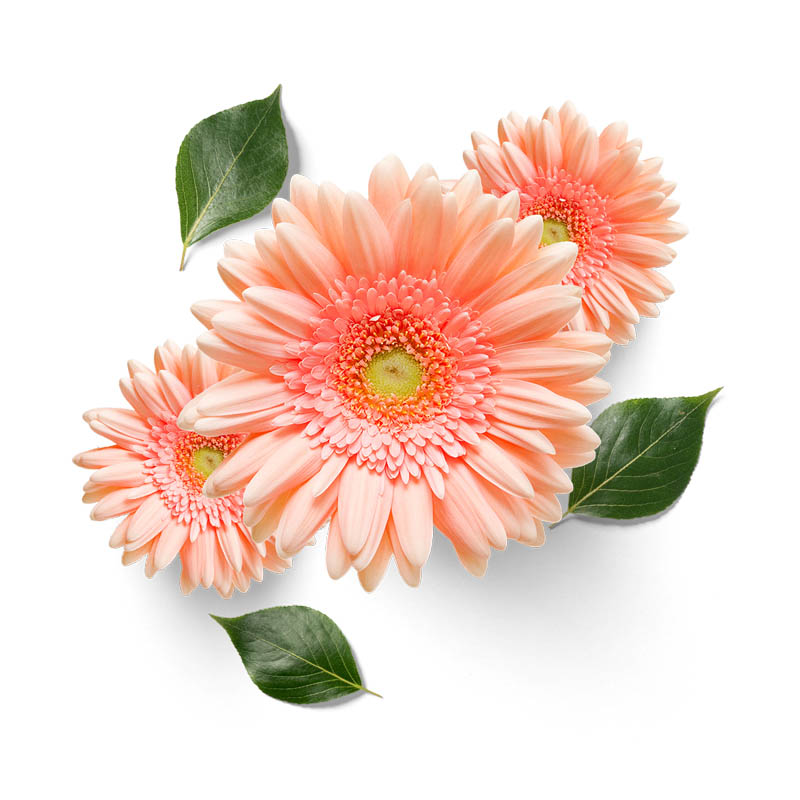 Zttzdy 22.3*21.2cm vakre blomster soverom vegg toalett klistremerke hjem rom dekor dekal  t2-0038