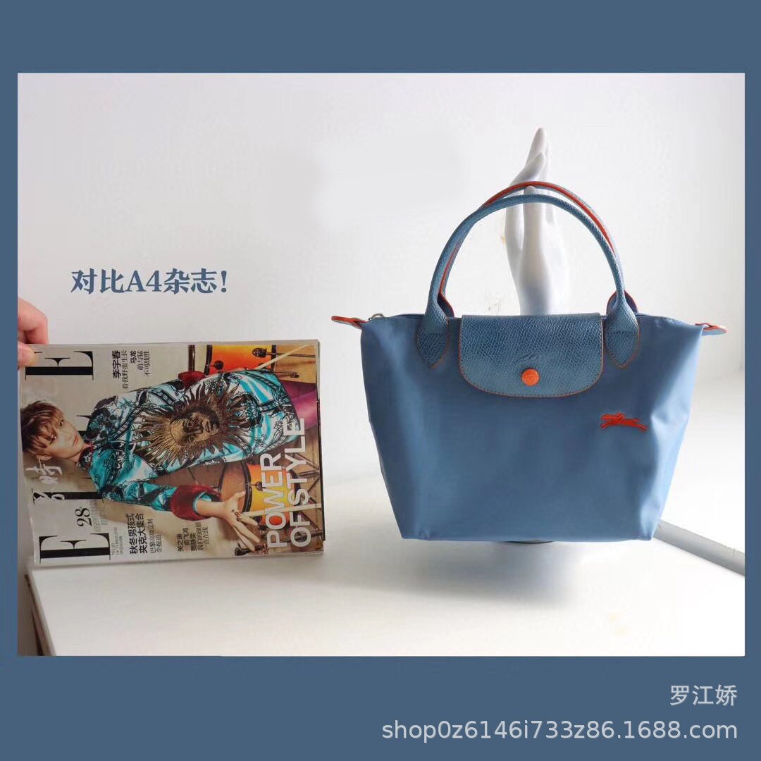 Short Handle Small Number Embroidered Horse women's Bag Dumpling Bag Mini Handbag Nylon Canvas Bags: Haze blue