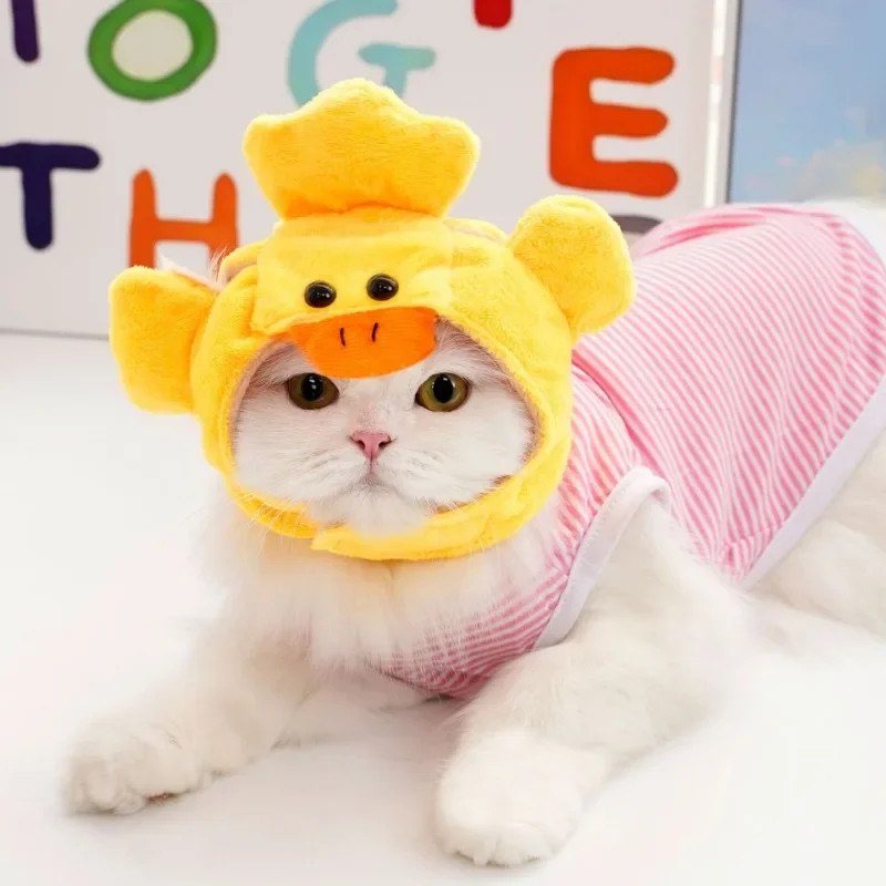 Kjæledyr katt lue hund hodeplagg morsom bjørn ører lue varme korte plysjører kjæledyr utstyr fest jul cosplay små kjæledyr tilbehør