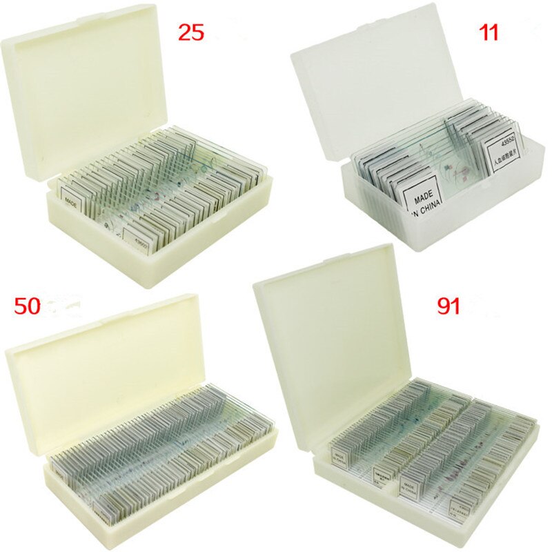 Biología 11/25/50/91 Piezas Microscopio de cristal preparado tobogán Escuela y laboratorio con etiqueta china en inglés muestras de enseñanza