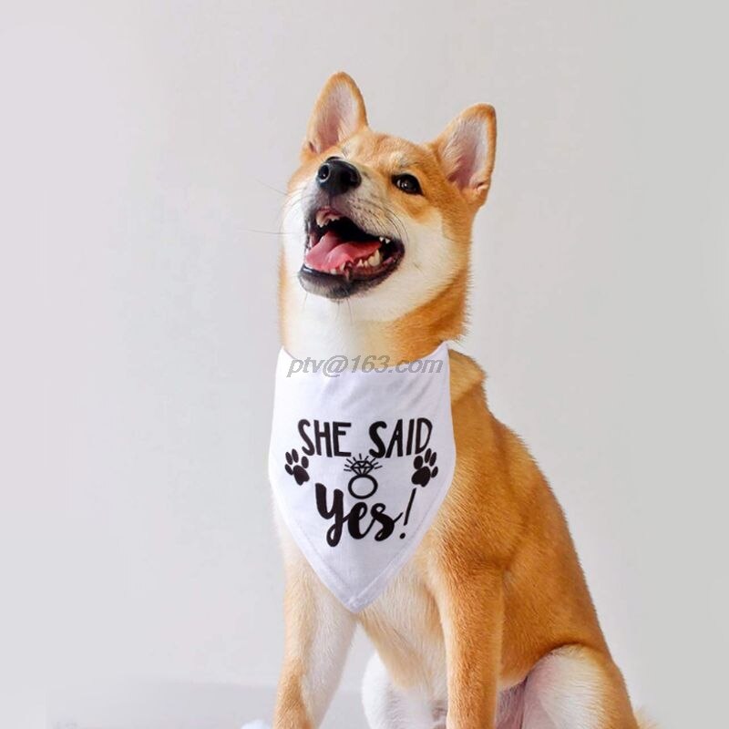Hund Hochzeit Bandana Mein Menschen sind Immer Verheiratet Sagte sie Ja Haustier Dreieck Lätzchen Schal Halstuch Engagement Announcemet