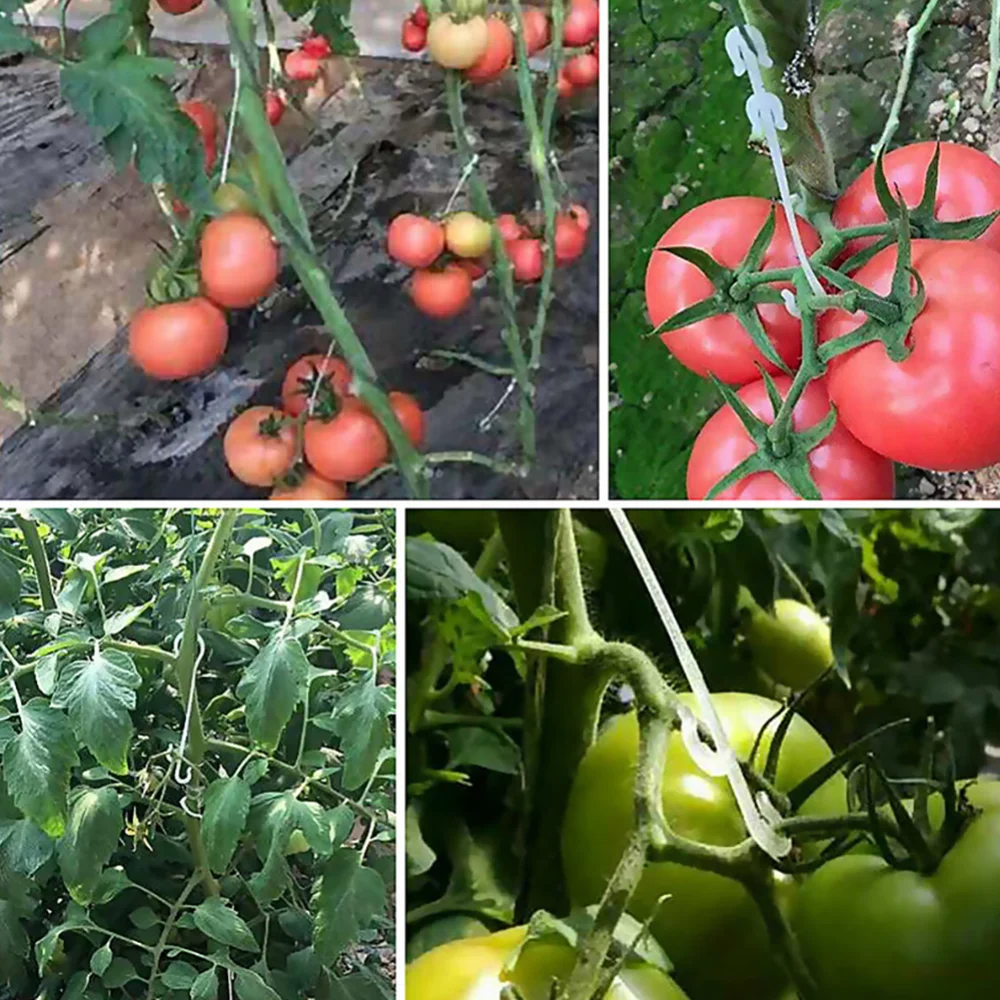 Ganchos en forma de J para soporte de tomate, 100/1 Uds., plantas vegetales reutilizables, enrejado, enredaderas, ganchos de hebilla fija para suministros de jardinería