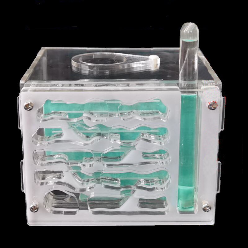 Large Ant Farm Acrylic Ecologico Ant Nest Workshop Transparent Insectes Ants Queen Ants Workshop Ecologico Observation Ant House