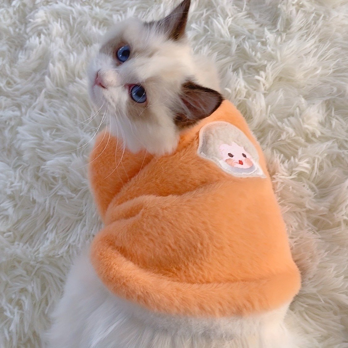 Katzen-Accessoires, warme Kätzchen-Kleidung für Haustiere für Höhle Winter, Kätzchen-Kleidung, kleine Kätzchen-Sachen, Kühlkleidung, zur Seite fahren-Westen für Hunde: L / Grün