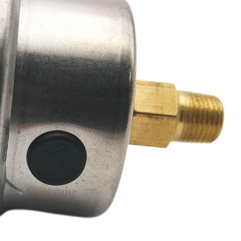 LIQUID FILLED GAUGE 0 - 160 PSI FUEL PRESSURE REGULATOR 1/8th NPT BAR